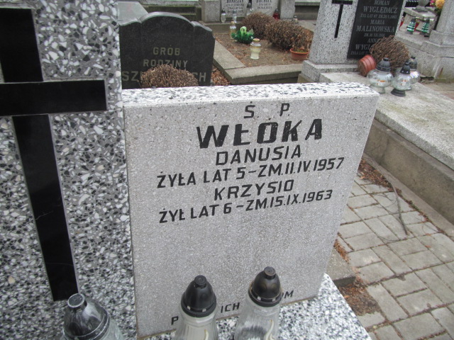Danuta Włóka Częstochowa Kule - Grobonet - Wyszukiwarka osób pochowanych