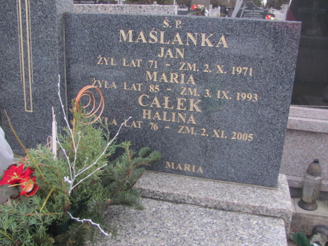 Stanisław Całek 1931 Częstochowa Kule - Grobonet - Wyszukiwarka osób pochowanych