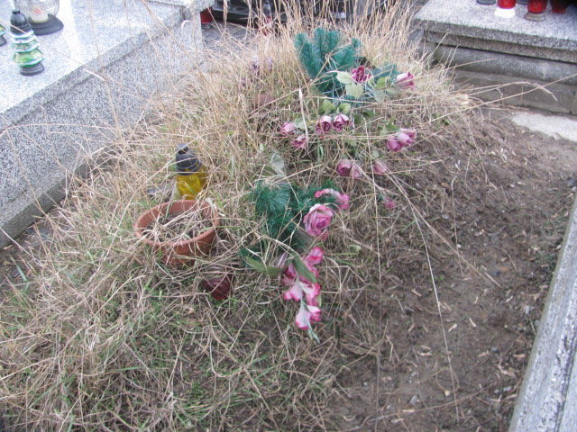 Zdzisława Fijałkowska 1949 Częstochowa Kule - Grobonet - Wyszukiwarka osób pochowanych