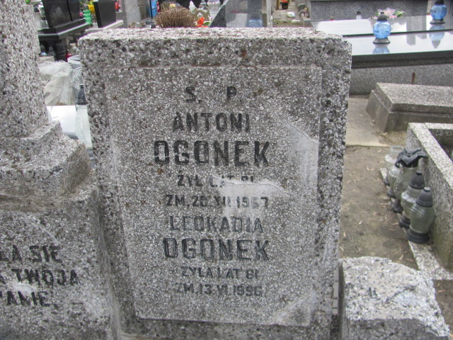 Antoni Ogonek Częstochowa Kule - Grobonet - Wyszukiwarka osób pochowanych