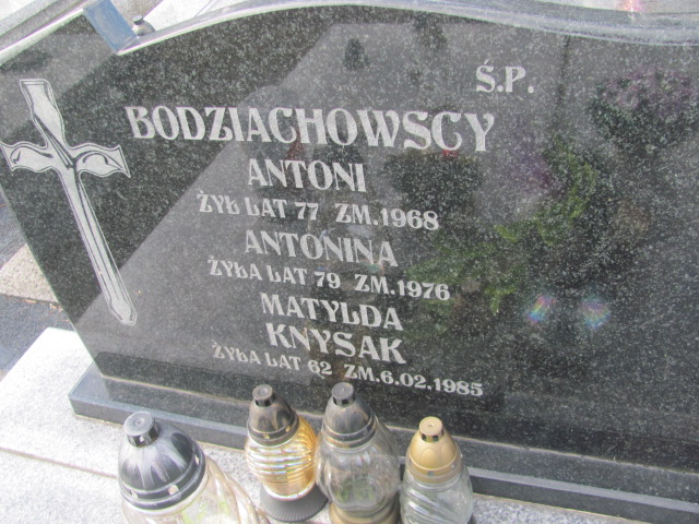 Matylda Knysak Częstochowa Kule - Grobonet - Wyszukiwarka osób pochowanych