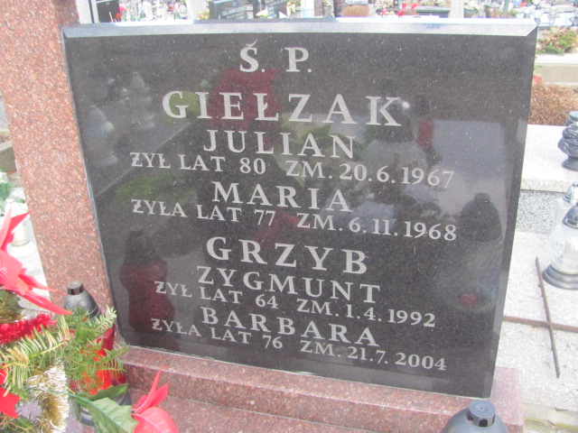 Zygmunt Grzyb Częstochowa Kule - Grobonet - Wyszukiwarka osób pochowanych