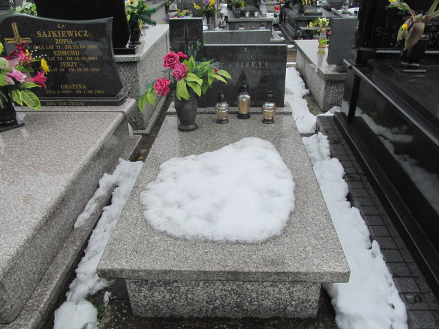 Roman Wszelaki Częstochowa Kule - Grobonet - Wyszukiwarka osób pochowanych