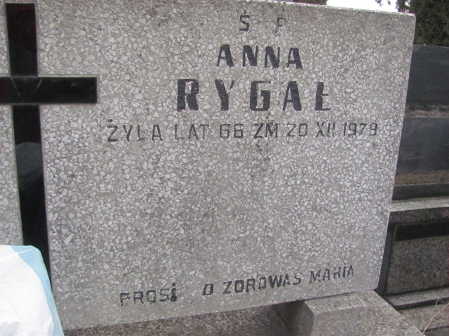 Tadeusz Rygał 1955 Częstochowa Kule - Grobonet - Wyszukiwarka osób pochowanych
