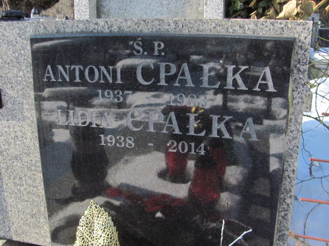 Antoni Cpałka 1936 Częstochowa Kule - Grobonet - Wyszukiwarka osób pochowanych