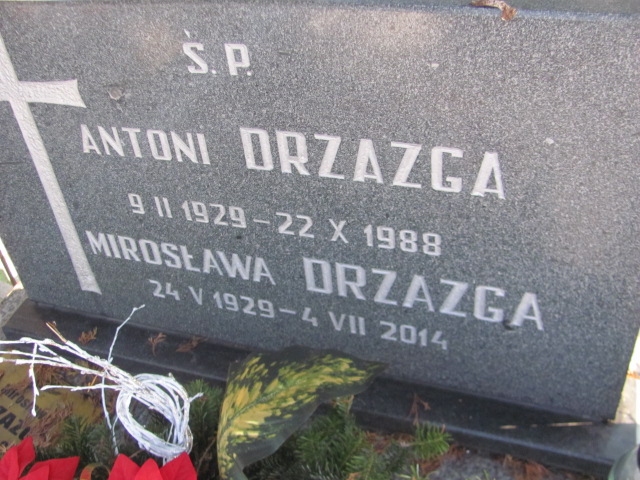 Antoni Drzazga 1929 Częstochowa Kule - Grobonet - Wyszukiwarka osób pochowanych
