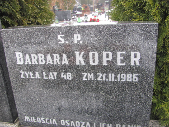 Marta Magdalena Koper 1989 Częstochowa Kule - Grobonet - Wyszukiwarka osób pochowanych