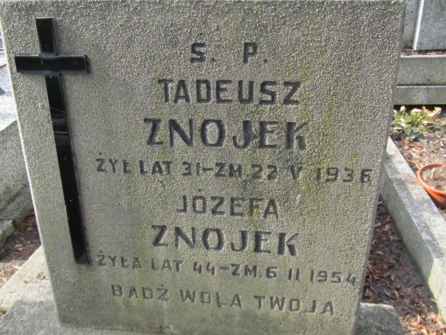 Józefa Znojek Częstochowa Kule - Grobonet - Wyszukiwarka osób pochowanych