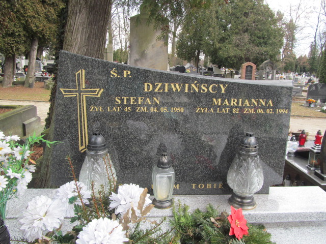 Marianna Dziwińska Częstochowa Kule - Grobonet - Wyszukiwarka osób pochowanych