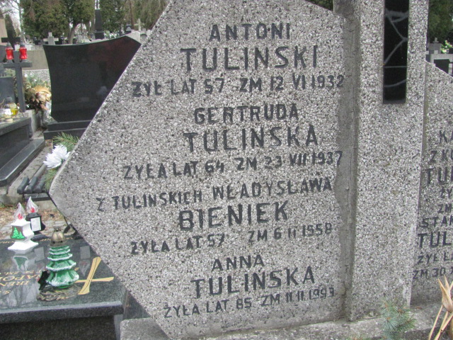 Władysława Bieniek Częstochowa Kule - Grobonet - Wyszukiwarka osób pochowanych