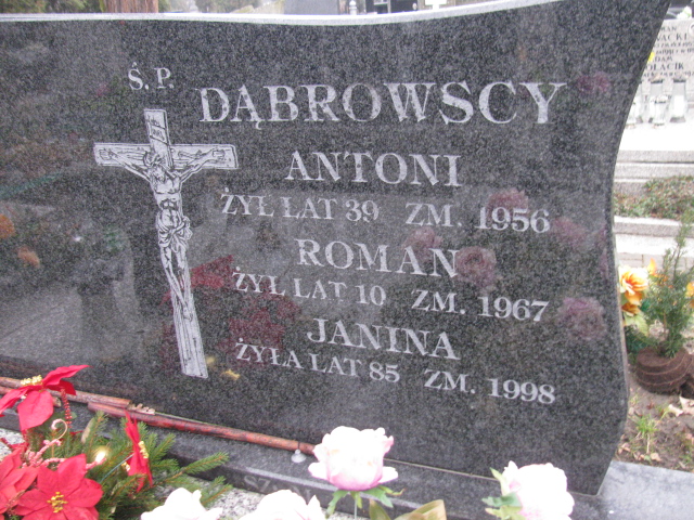 Zofia Wiśniewska 1949 Częstochowa Kule - Grobonet - Wyszukiwarka osób pochowanych