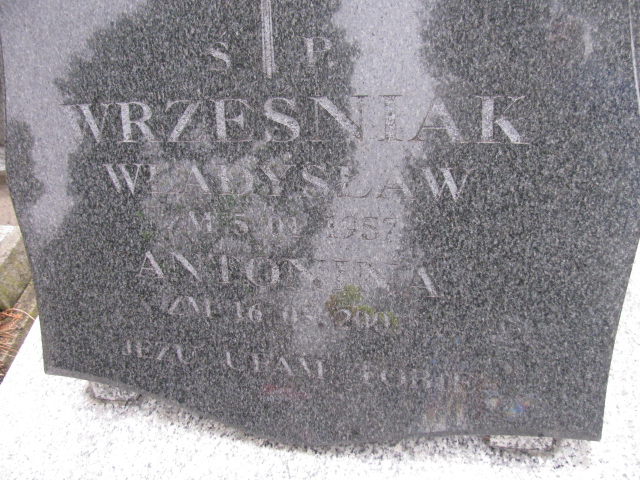 Antonia Wrześniak Częstochowa Kule - Grobonet - Wyszukiwarka osób pochowanych