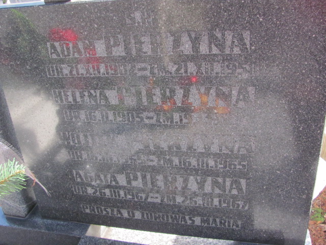 Adam Pierzyna 1902 Częstochowa Kule - Grobonet - Wyszukiwarka osób pochowanych