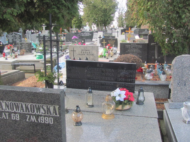 Grób Anna Januszewska