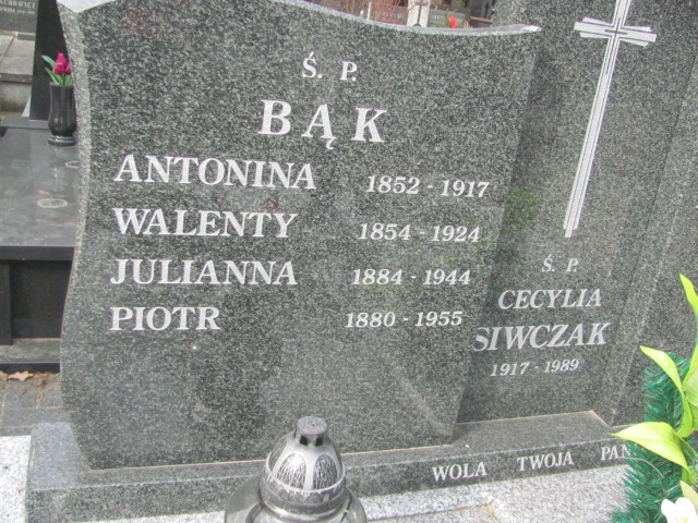 Tomasz Ujma 1951 Częstochowa Kule - Grobonet - Wyszukiwarka osób pochowanych