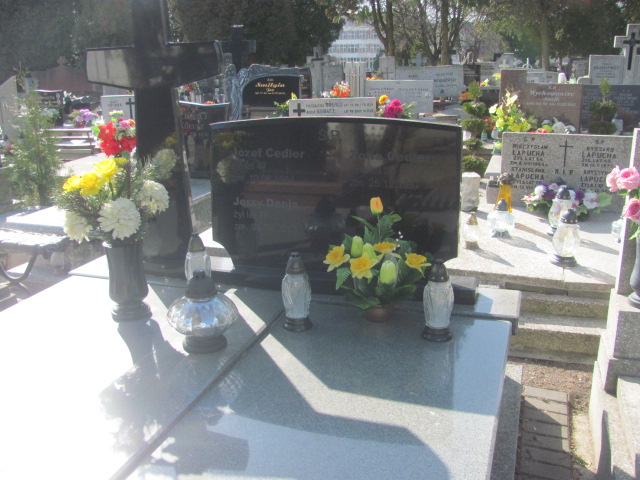 Grób Zofia Cedler
