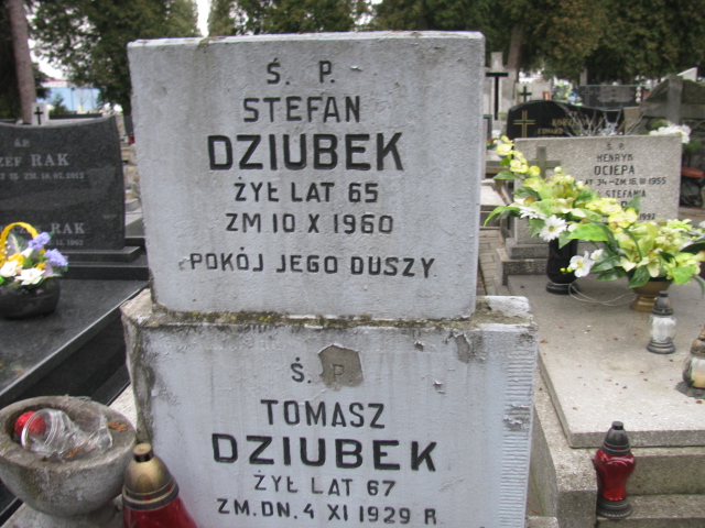 Tomasz Dziubek Częstochowa Kule - Grobonet - Wyszukiwarka osób pochowanych