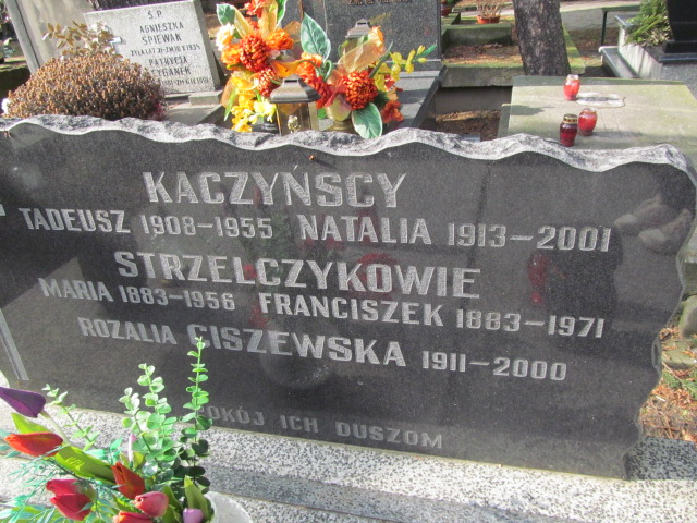 Tadeusz Kaczyński 1907 Częstochowa Kule - Grobonet - Wyszukiwarka osób pochowanych