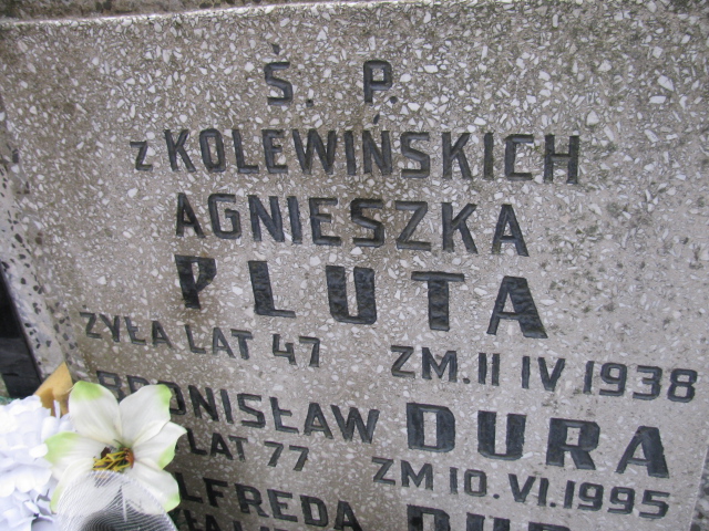 Agnieszka Pluta Częstochowa Kule - Grobonet - Wyszukiwarka osób pochowanych