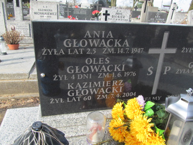 Tadeusz Głowacki Częstochowa Kule - Grobonet - Wyszukiwarka osób pochowanych