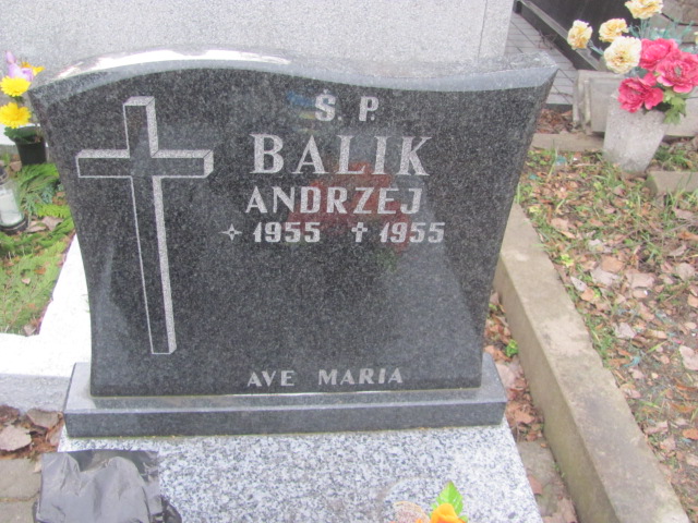 Adam Balik 1957 Częstochowa Kule - Grobonet - Wyszukiwarka osób pochowanych