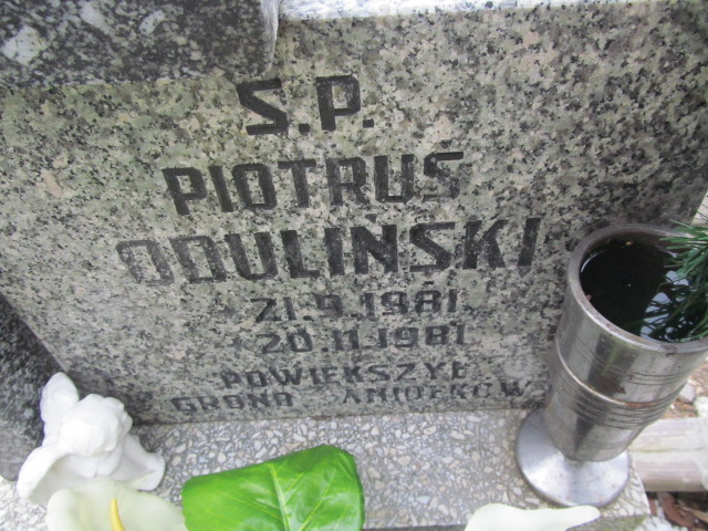 Janusz Oduliński 1956 Częstochowa Kule - Grobonet - Wyszukiwarka osób pochowanych