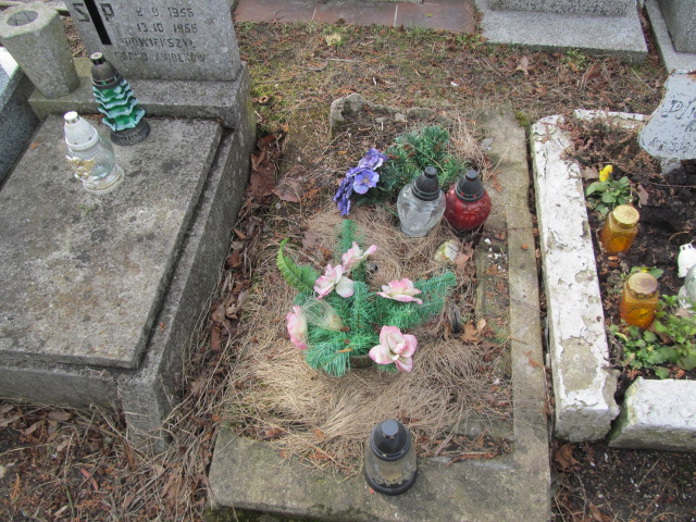 Ewa Stala 1978 Częstochowa Kule - Grobonet - Wyszukiwarka osób pochowanych