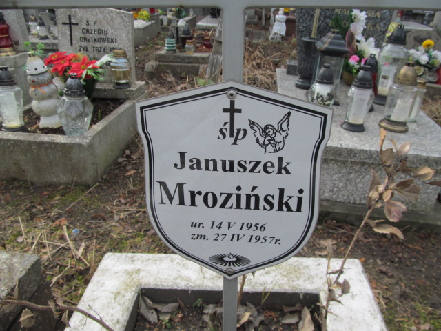 Janusz Mroziński 1956 Częstochowa Kule - Grobonet - Wyszukiwarka osób pochowanych