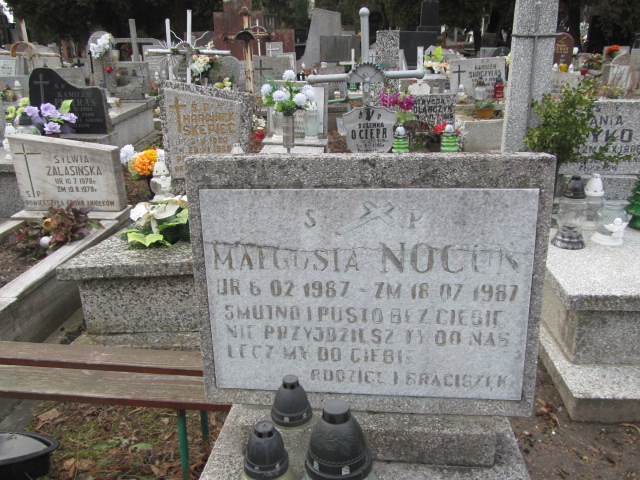 Małgorzata Nocuń 1987 Częstochowa Kule - Grobonet - Wyszukiwarka osób pochowanych