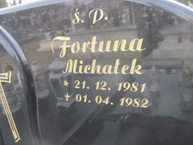 Michał Fortuna 1981 Częstochowa Kule - Grobonet - Wyszukiwarka osób pochowanych