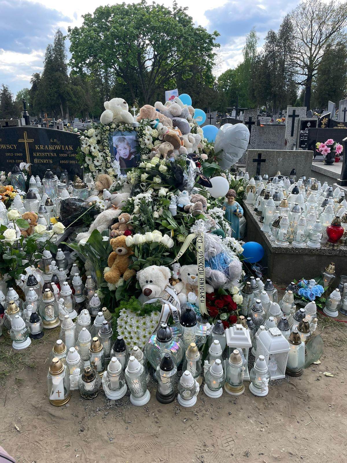 Kamil Mrozek 2015 Częstochowa Kule - Grobonet - Wyszukiwarka osób pochowanych