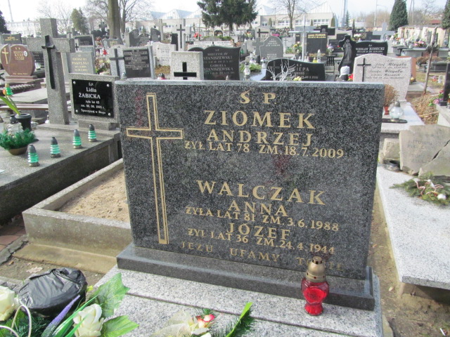 Anna Walczak Częstochowa Kule - Grobonet - Wyszukiwarka osób pochowanych