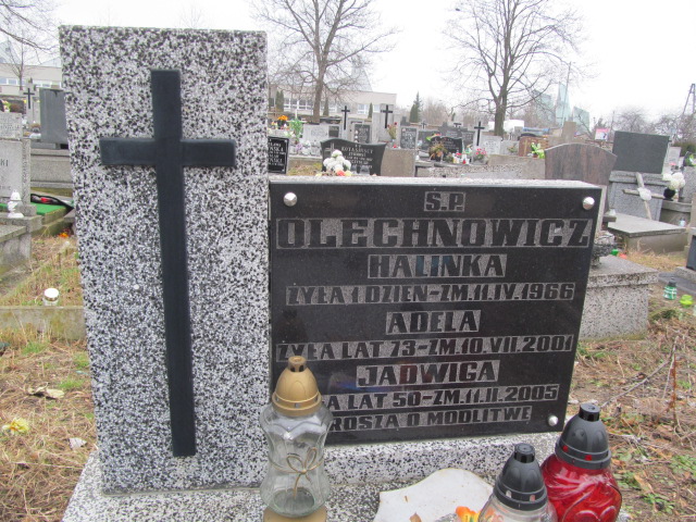Halina Olechnowicz Częstochowa Kule - Grobonet - Wyszukiwarka osób pochowanych