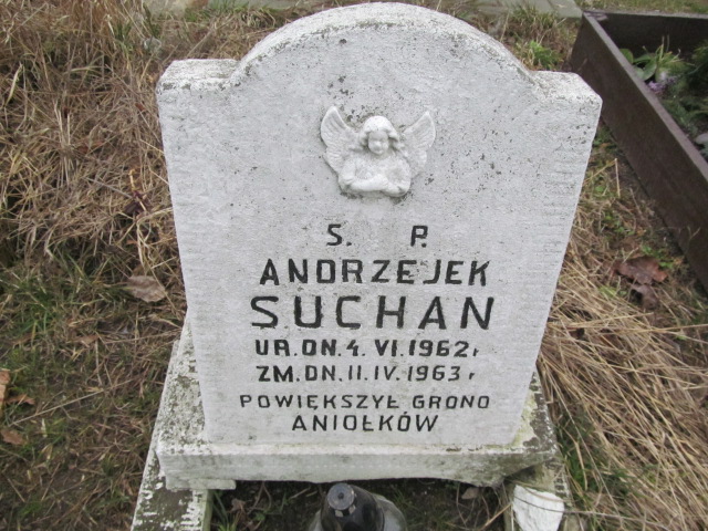Andrzej Suchan 1962 Częstochowa Kule - Grobonet - Wyszukiwarka osób pochowanych