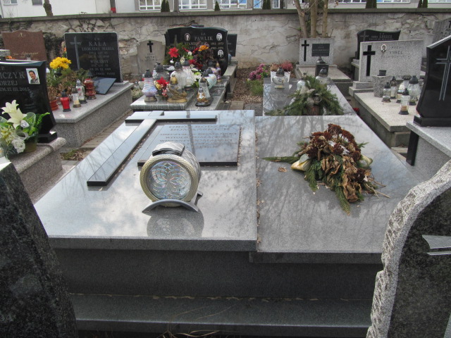 Grób Mieczysława Domańska