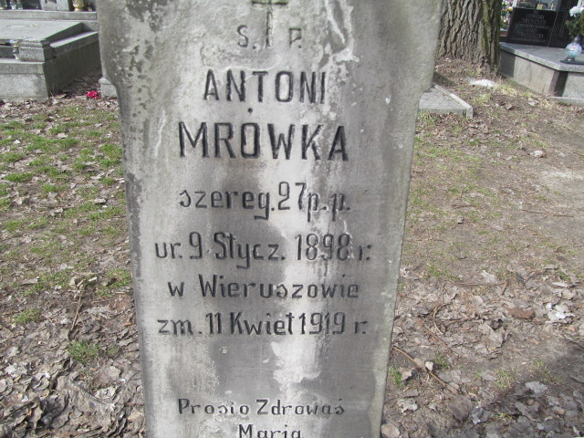Antoni Mrówka 1898 Częstochowa Kule - Grobonet - Wyszukiwarka osób pochowanych