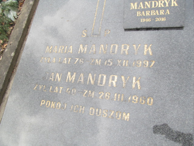 Maria Mandryk Częstochowa Kule - Grobonet - Wyszukiwarka osób pochowanych