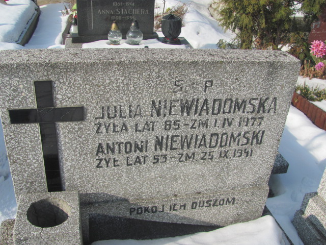 Julia Niewiadomska Częstochowa Kule - Grobonet - Wyszukiwarka osób pochowanych