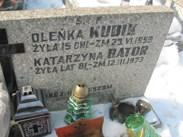 Aleksandra Kubik Częstochowa Kule - Grobonet - Wyszukiwarka osób pochowanych