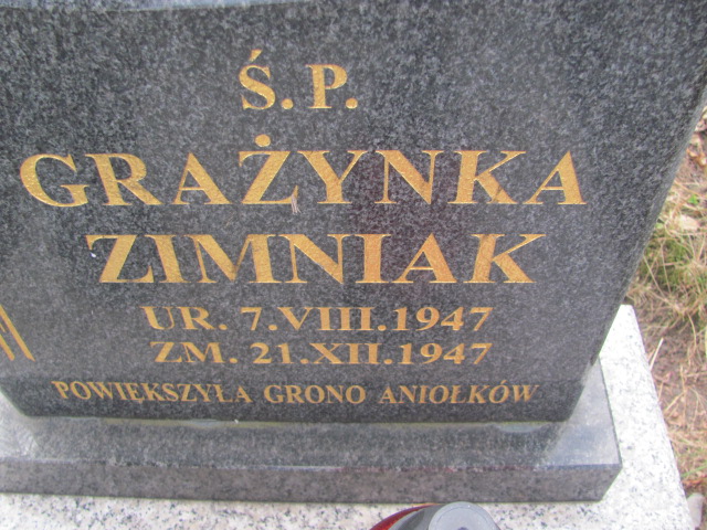 Grażyna Zimniak 1947 Częstochowa Kule - Grobonet - Wyszukiwarka osób pochowanych