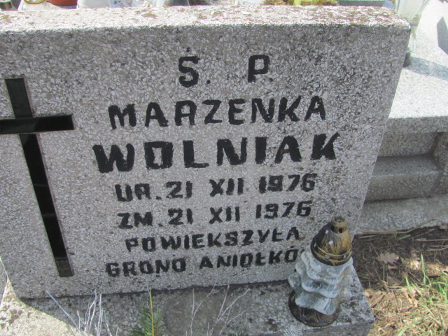 Marzena Wolniak 1976 Częstochowa Kule - Grobonet - Wyszukiwarka osób pochowanych