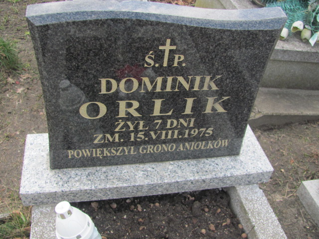 Marek Orlik 1949 Częstochowa Kule - Grobonet - Wyszukiwarka osób pochowanych