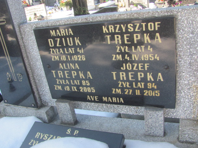Józef Trepka Częstochowa Kule - Grobonet - Wyszukiwarka osób pochowanych