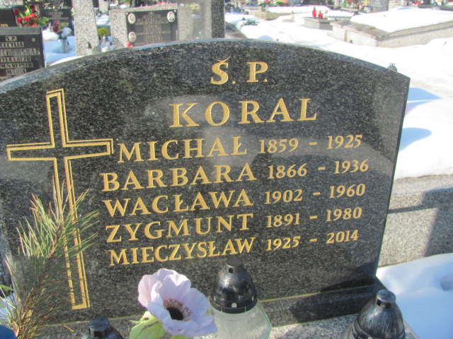 Michał Koral 1858 Częstochowa Kule - Grobonet - Wyszukiwarka osób pochowanych