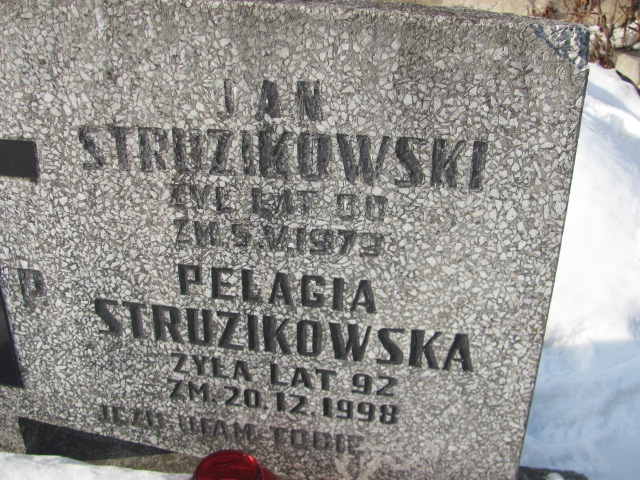 Pelagia Struzikowska Częstochowa Kule - Grobonet - Wyszukiwarka osób pochowanych