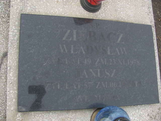 Ewa Ziębacz Częstochowa Kule - Grobonet - Wyszukiwarka osób pochowanych