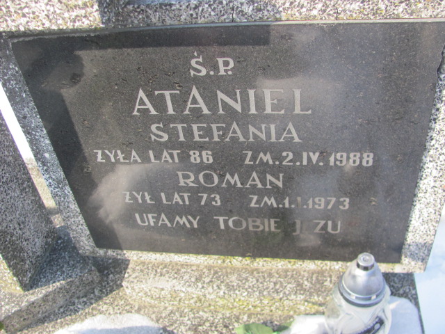 Roman Ataniel Częstochowa Kule - Grobonet - Wyszukiwarka osób pochowanych