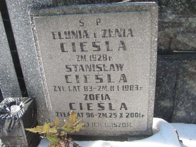 Stanisław Cieśla Częstochowa Kule - Grobonet - Wyszukiwarka osób pochowanych