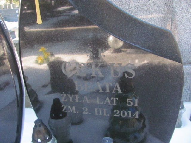 Janusz Paciorkowski 1925 Częstochowa Kule - Grobonet - Wyszukiwarka osób pochowanych