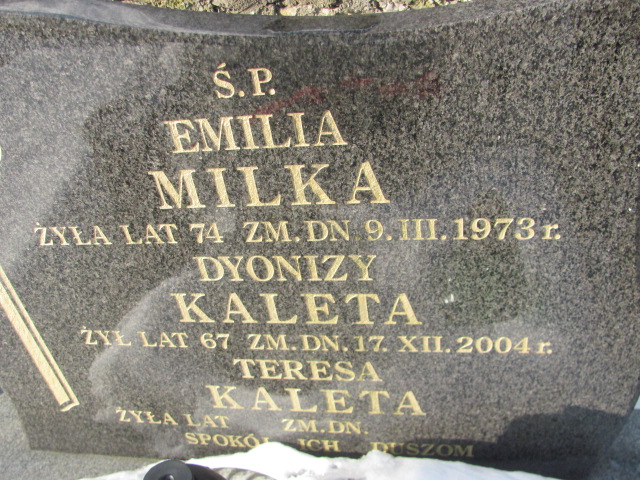 Dyonizy Kaleta Częstochowa Kule - Grobonet - Wyszukiwarka osób pochowanych
